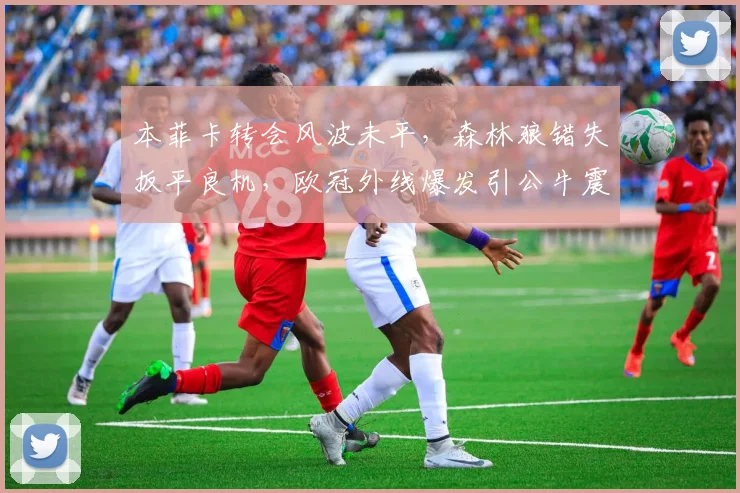 本菲卡转会风波未平，森林狼错失扳平良机，欧冠