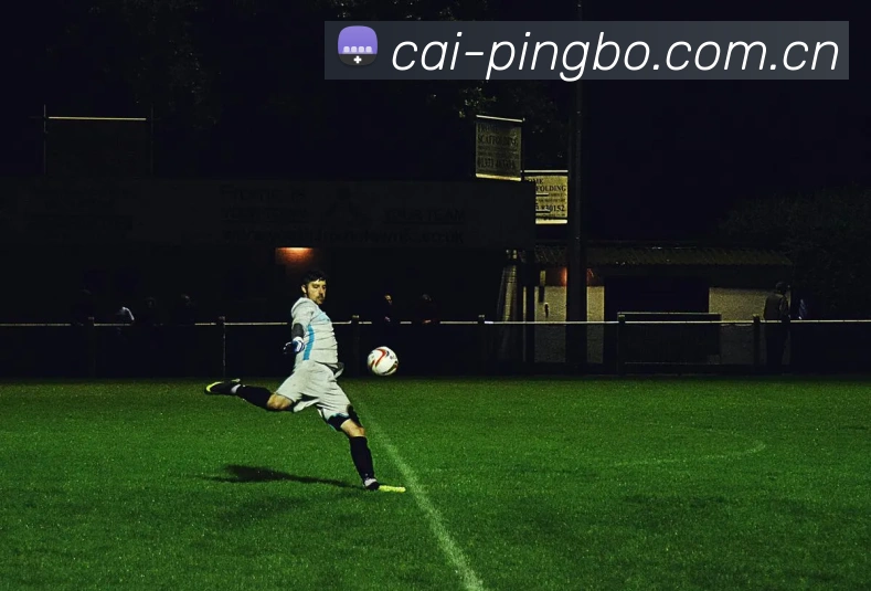 平博体育官网 - Pinnacle Sports入口平台愿景